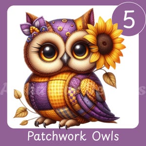 Może przedstawiać: Ilustracja patchworkowej sowy z dużymi, wyrazistymi oczami i słonecznikiem. Sowa ma wzór patchworkowy w odcieniach fioletu, złota i pomarańczy. Numer 5 znajduje się w fioletowym okręgu. Tekst "Patchwork Owls" na dole.