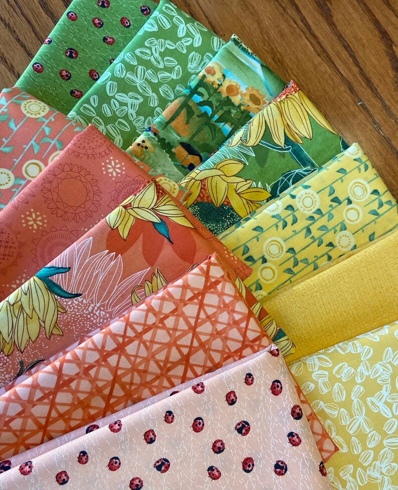 Solana Fabric Bundles by Robin Pickens from Moda Etsy
