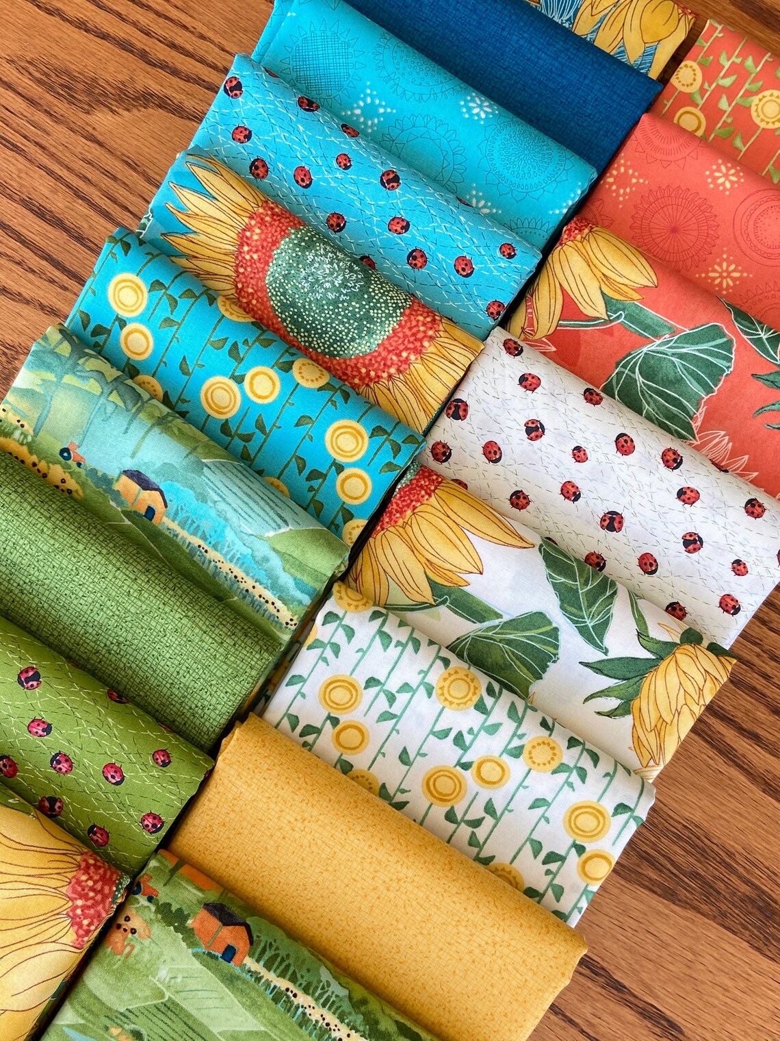 Solana Fabric Bundle by Robin Pickens from Moda Etsy