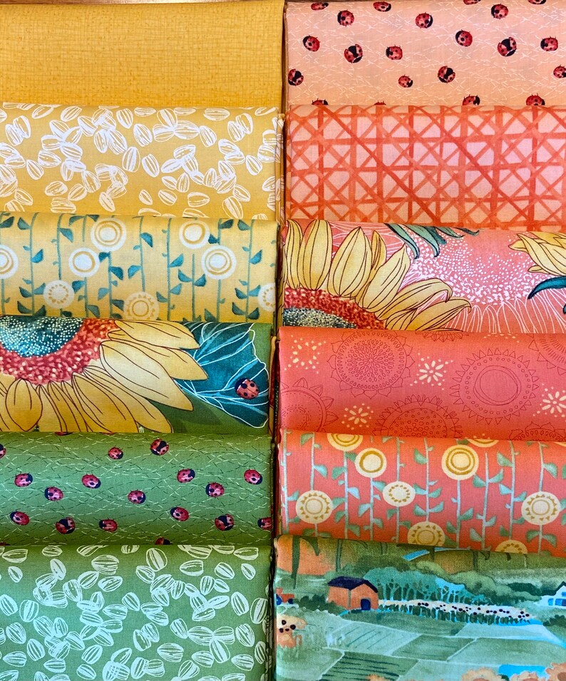 Solana Fabric Bundles by Robin Pickens from Moda Etsy