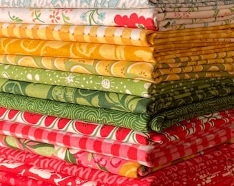 Moda Fruit Loop Fabric Bundle by Basic Grey from Moda