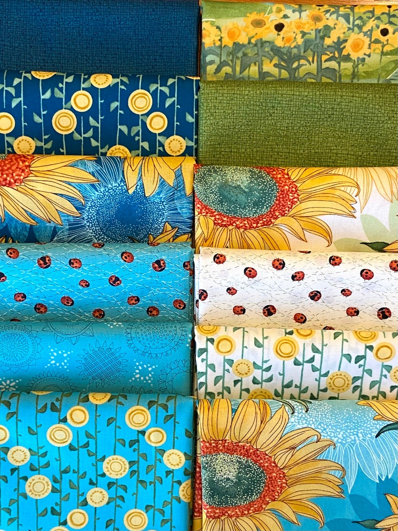 Solana Fabric Bundles by Robin Pickens from Moda Etsy