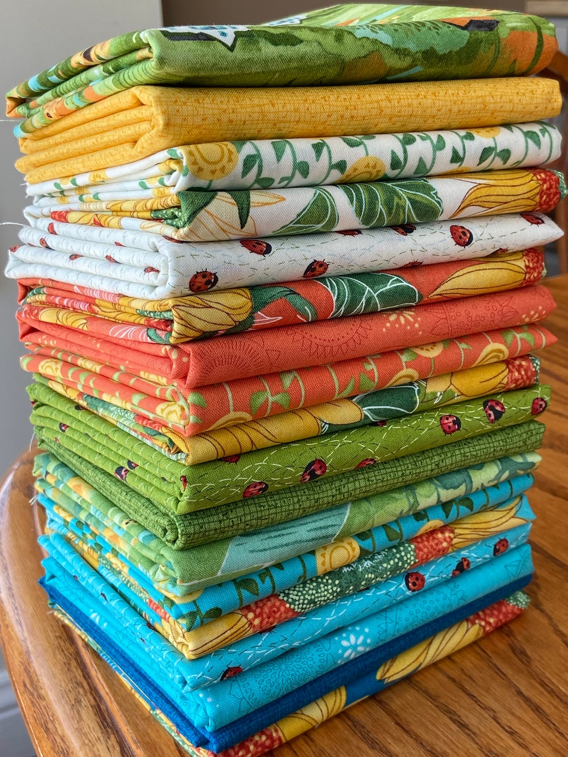 Solana Fabric Bundle by Robin Pickens from Moda Etsy