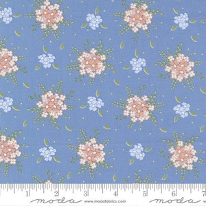 Peach Keen Quilting Fabric by Corey Yoder from Moda - 29172 15 Blue