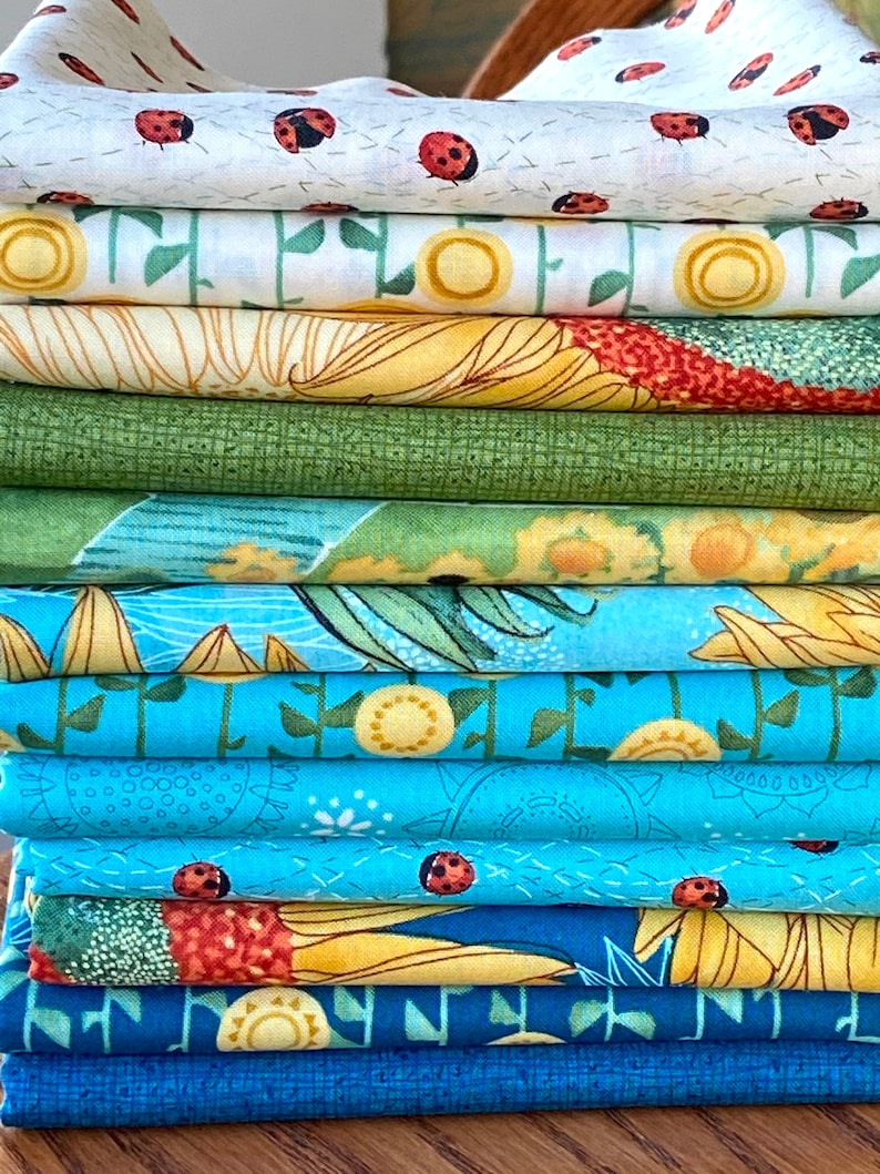 Solana Fabric Bundles by Robin Pickens from Moda Etsy
