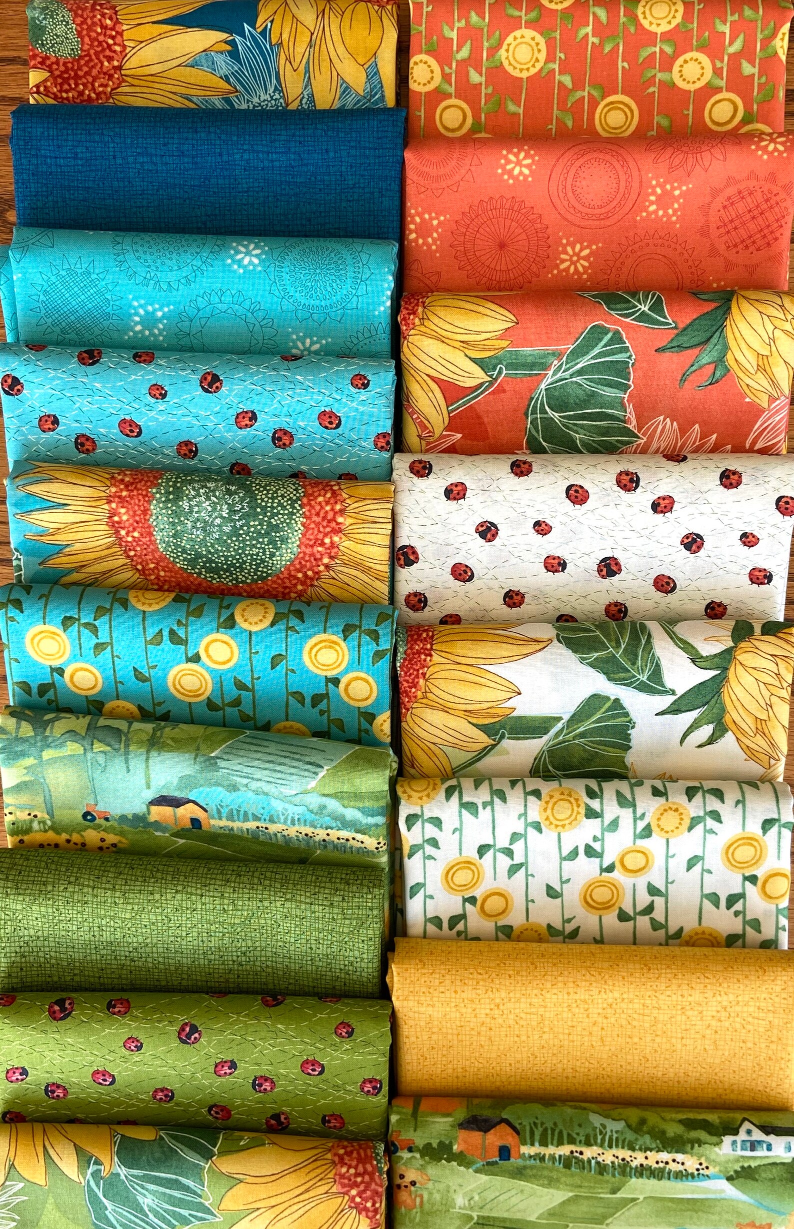 Solana Fabric Bundle by Robin Pickens from Moda Etsy