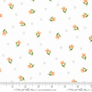 Bountiful Blooms fabric by Sherri and Chelsi from Moda 37662 11 Off White