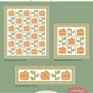 May include: A quilting pattern titled Pumpkin & Vine by A Quilting Life Designs by Sherri McConnell. It features three quilt designs with orange pumpkin and green vine motifs: a 57 1/2" x 67 1/2" throw, a 37 1/2" x 37 1/2" wall hanging, and a 50 1/2" x 14 1/2" runner.
