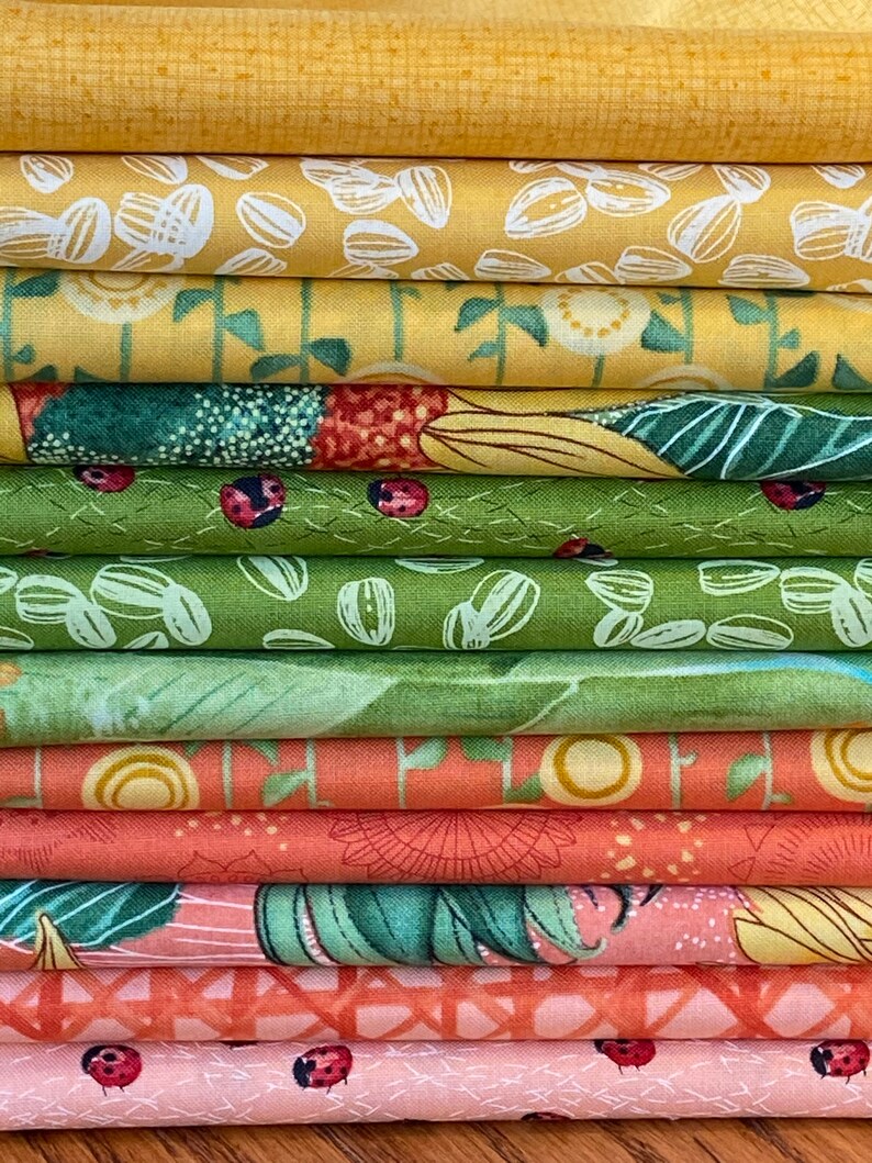Solana Fabric Bundles by Robin Pickens from Moda Etsy