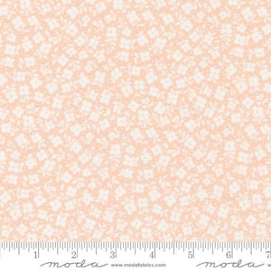 Dainty Meadow fabric by My Sew Quilty Life from Moda 31745 17 Peachy