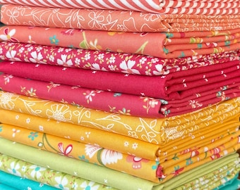 In the Garden Fabric Bundle by Corey Yoder from Moda