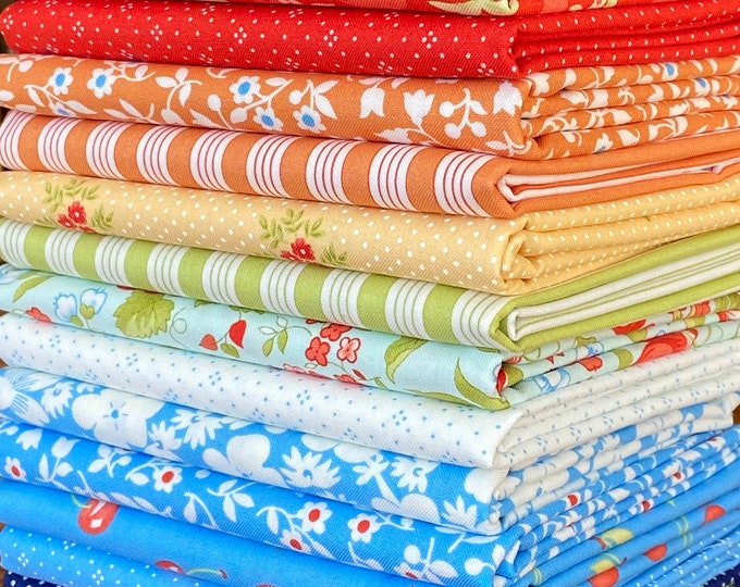 Fruit Cocktail Fabric Bundle by Figtree Fabric From Moda Etsy