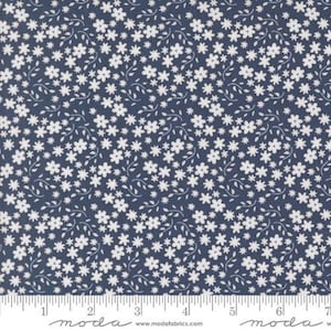 Raspberry Summer fabric by Sherri and Chelsi from Moda 37693 20 Blueberry