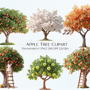 Peut inclure: Six illustrations numériques d'arbres fruitiers, avec des pommes rouges et vertes, des fleurs blanches et des feuilles d'automne. Le texte indique : APPLE TREE CLIPART, PNG TRANSPARENT, 300 DPI, 30.48cm x 30.48cm.