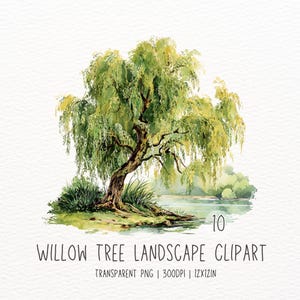 May include: Watercolor illustration of a willow tree with green and yellow foliage, set against a serene lake backdrop. The image includes the text "Willow Tree Landscape Clipart" and other details.