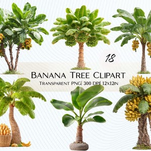 Könnte beinhalten: Eine Sammlung von Bananenbaum-Cliparts. Die Bäume variieren in Größe und Form, einige tragen Büschel gelber Bananen. Die Blätter sind leuchtend grün, und die Stämme sind braun. Der Text lautet "Banana Tree Clipart, Transparent PNG, 300 DPI, 12x12in."