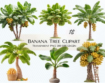 Peut inclure: Plusieurs images clipart de bananiers. Les arbres varient en taille et en forme, certains portant des régimes de bananes jaunes. Les feuilles sont d'un vert vif et les troncs sont bruns. Le texte indique "Banana Tree Clipart, Transparent PNG, 300 DPI, 12x12in."