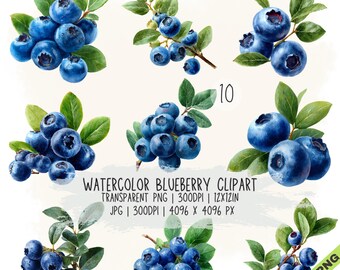 Paquete de 9 imágenes prediseñadas de arándanos en acuarela en formato JPG y PNG transparente (descarga digital)