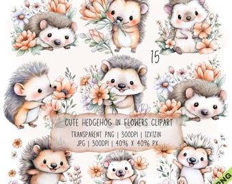 Paquete de 15 imágenes prediseñadas de erizos en flores en formato JPG y PNG transparente (descarga digital)