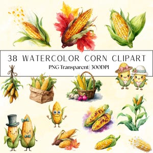 38 Watercolor Corn Clipart Set: Fall Harvest (Transparent PNG )