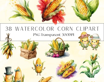 38 Watercolor Corn Clipart Set: Fall Harvest (Transparent PNG )