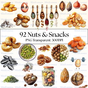 92 Akvarell Nöt Clipart Bundle | Torkad Frukt, Mandel, Cashewnötter (Transparent PNG)