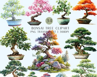 34 Bonsai Tree Clipart Bundle |Watercolor Trees | Japanese Bonsai PNG Transparent Background