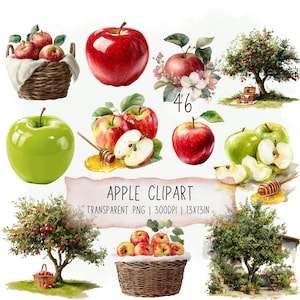 45 Watercolor Apple Clipart Set: Rustic Farmhouse,Tree PNG Transparent