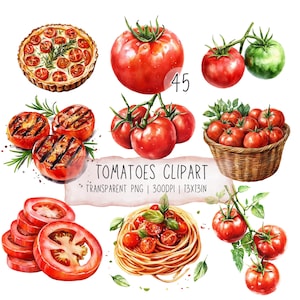 Paquete de 45 imágenes prediseñadas de tomates en acuarela: Tomate rojo (PNG transparente)