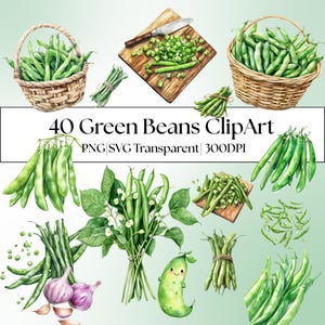 Peut inclure: Ensemble de cliparts à l'aquarelle représentant des haricots verts sous diverses formes : entiers dans des paniers et des bottes, coupés sur une planche à découper avec un couteau, et avec des feuilles et des fleurs. Le texte indique "40 Green Beans ClipArt".