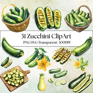 31 Watercolor Zucchini Clipart| Squash Flower Illustration, Green Vegetable|Garden Art|PNG Transparent Background