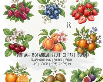 May include: A digital collection of 18 botanical fruit illustrations including raspberries, blueberries, strawberries, cherries, peaches, apples, oranges, kiwis, and figs with green leaves and flowers. Text reads: 18 VINTAGE BOTANICAL FRUIT CLIPART BUNDLE TRANSPARENT PNG | 300DPI | 12X12IN JPG | 300DPI | 4096 X 4096 PX JPG & PNG.