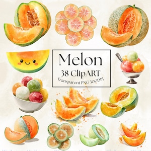 38 Watercolor Melon Clipart Bundle: Cantaloupe  Honeydew PNGs (Transparent PNG)