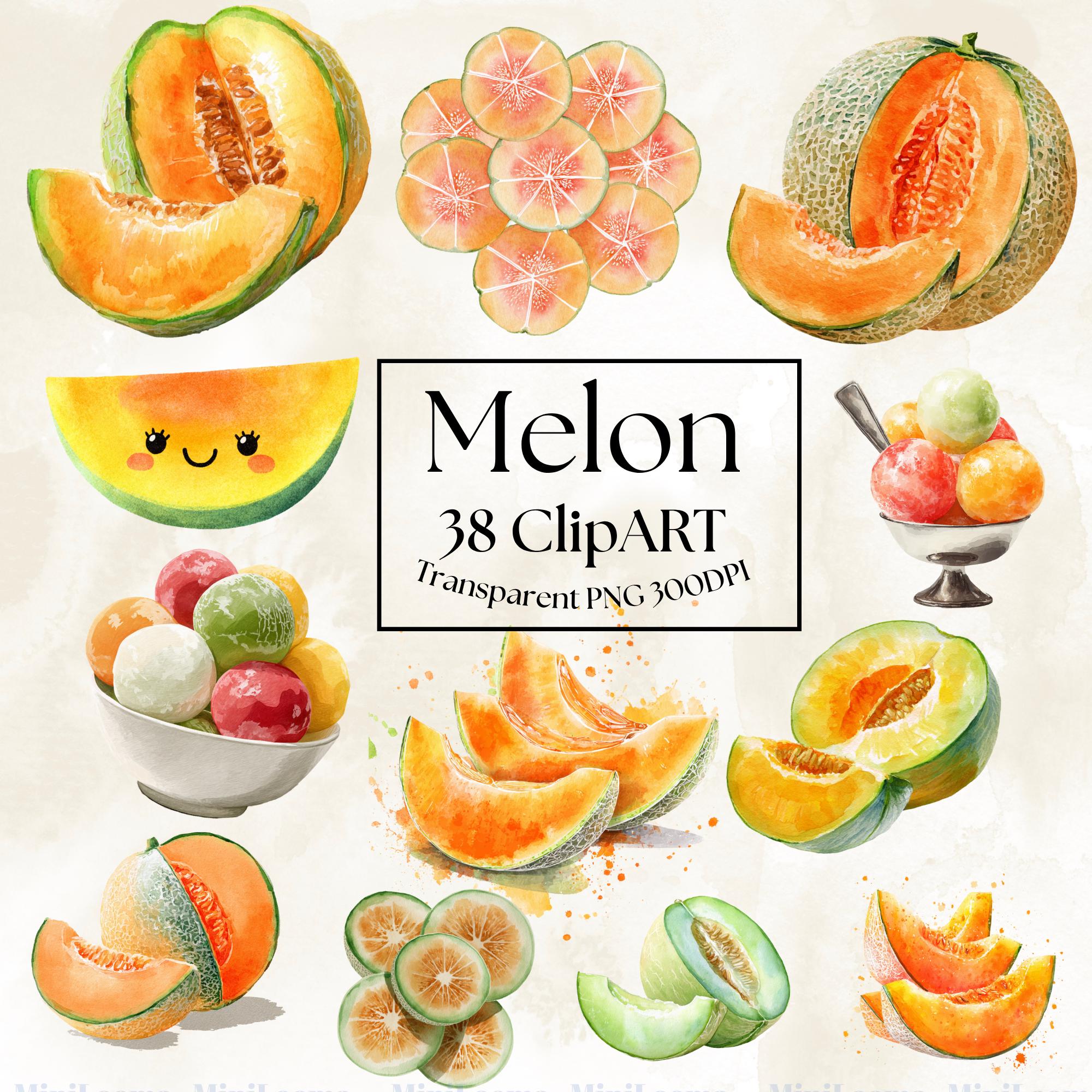 Cantaloupe Clipart - Etsy, image size:2000x2000