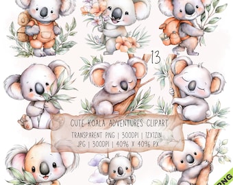 Paquete de 13 imágenes prediseñadas de aventuras de koalas, koalas adorables en formato JPG y PNG transparente (descarga digital)