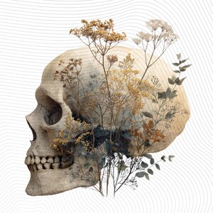 May include: An artistic illustration of a human skull with botanical elements. The skull is rendered in shades of beige and gray, with detailed bone structure. Delicate dried flowers and foliage in muted tones of brown and green are integrated within the skull's form, set against a white background.