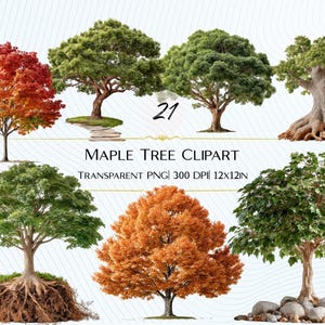 Puede incluir: Una colección de ocho imágenes prediseñadas de árboles de arce. Los árboles muestran varios colores, incluyendo verde, naranja y rojo. También se ve el texto "MAPLE TREE CLIPART" y "TRANSPARENT PNG 300 DPI 12X12IN".