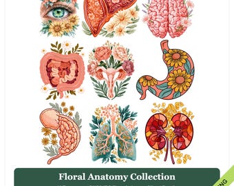 Puede incluir: Una colección digital de nueve ilustraciones anatómicas que incluyen un ojo, hígado, cerebro, intestinos, útero, estómago, páncreas, pulmones y riñones, decorados con flores. Texto: Floral Anatomy Collection 10 Transparent PNG&JPG files 9 shown Clipart Bundle 4000 x 4000 px 300 DPI DIGITAL DOWNLOAD Transparent PNG&JPG.