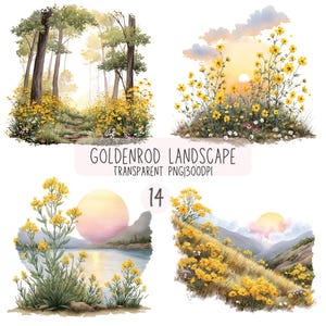 Puede incluir: Ilustraciones en acuarela de paisajes de vara de oro. Las imágenes presentan flores silvestres amarillas, árboles y una puesta de sol. Se incluye el texto "GOLDENROD LANDSCAPE" y "TRANSPARENT PNG 300DPI". También es visible el número 14.