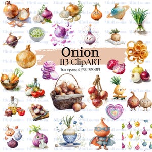 113 Watercolor Onion Clipart Bundle: Red, Yellow, Sliced Onions (Transparent PNG )