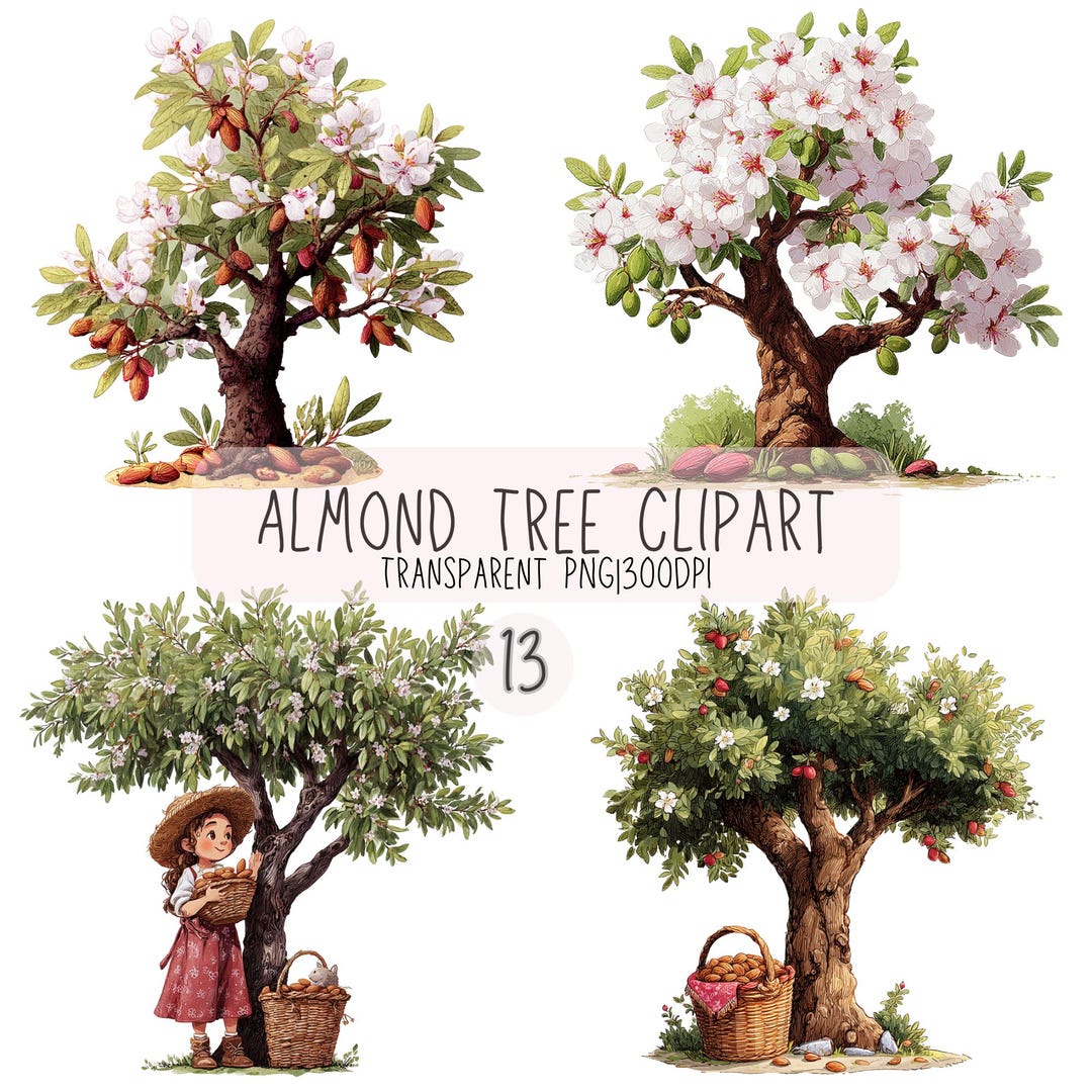 13 Almond Tree Clipart Bundle | Botanical Tree, Branches, Blossoms ...