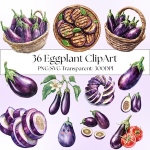 36 Aquarell Auberginen Clipart|Gemüse|Lila Aubergine|Küchen Wandkunst|Bauernhaus Dekoration|PNG-SVG Transparenter Hintergrund|DTF Transfer