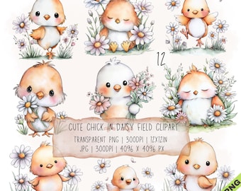 12 imágenes prediseñadas de pollitos en un campo de margaritas, imágenes prediseñadas de animales en formato JPG y PNG transparente (descarga digital)
