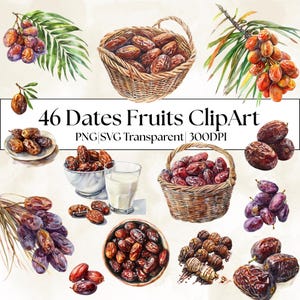 Puede incluir: Ilustración en acuarela de dátiles, presentados en cestas, cuencos y ramas. La imagen incluye un vaso de leche y el texto "46 Dates Fruits ClipArt". Los dátiles son de color marrón y morado, con hojas verdes.