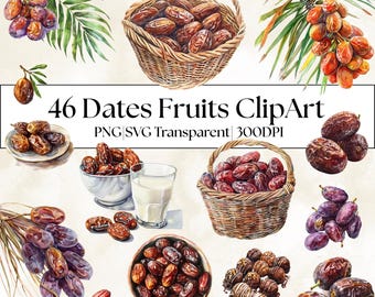 46 Watercolor Date Fruit Clipart| Realistic Dates|Botanical Food Illustration| PNG Transparent Background