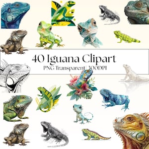 40 Iguana Clipart Bundle: Watercolor, Vintage, Vector  Fantasy Styles (PNG Transparent)