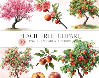 Peach Tree Clip Art