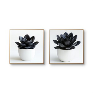 Schwarzweiße Sukkulenten Wandkunst 2er-Set Druck | Schwarze Sukkulente | Dunkle botanische Illustration | Minimalistische Pflanzendekoration | Digitaler Download