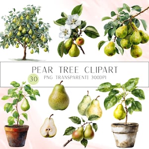 Op de afbeelding: Waterverfillustraties van perenbomen en peren. De afbeelding bevat een volledige boom vol groene peren, takken met peren en perenplanten in potten. De tekst "PEAR TREE CLIPART" wordt weergegeven.