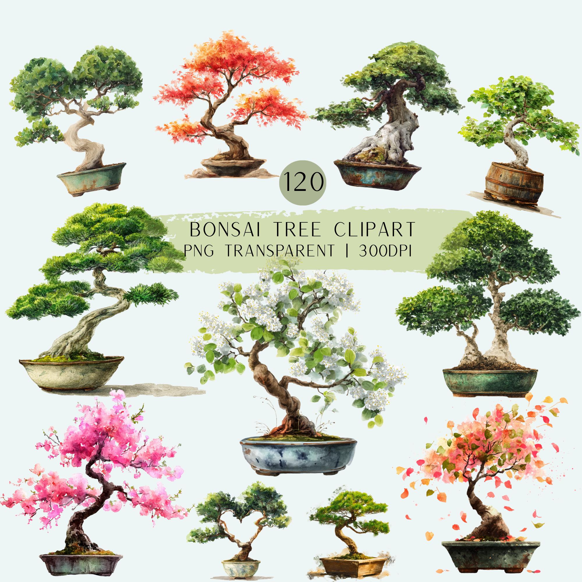 120 Watercolor Bonsai Tree Clipart Bundle: Japanese Garden Art (transparent  PNG) - Etsy Israel